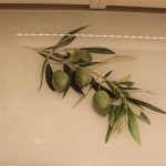 Küchenrückwand mit Fotodruck Olivenzweig